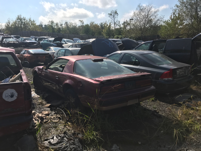 Another Firebird.